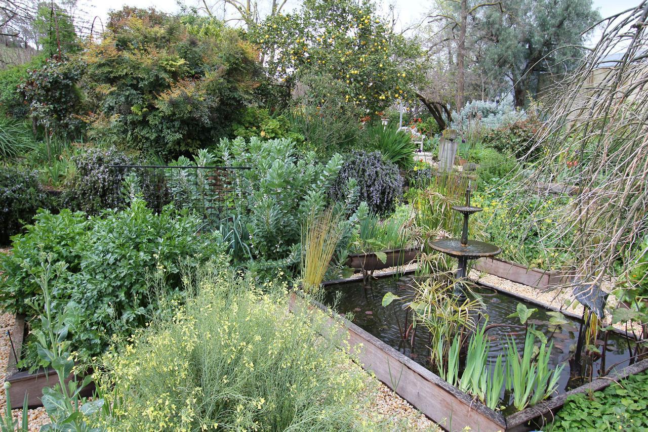 Bed and Breakfast Palm House Maldon Exteriér fotografie